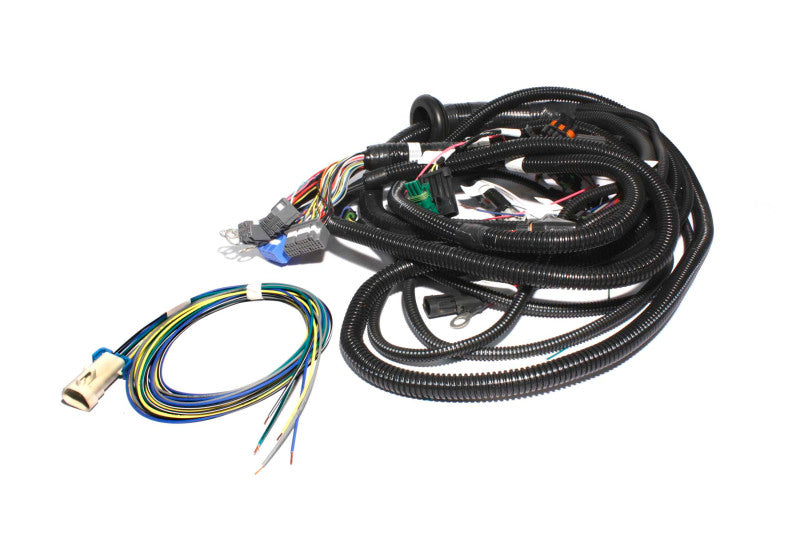 FAST Wiring Harness FAST Main LT1