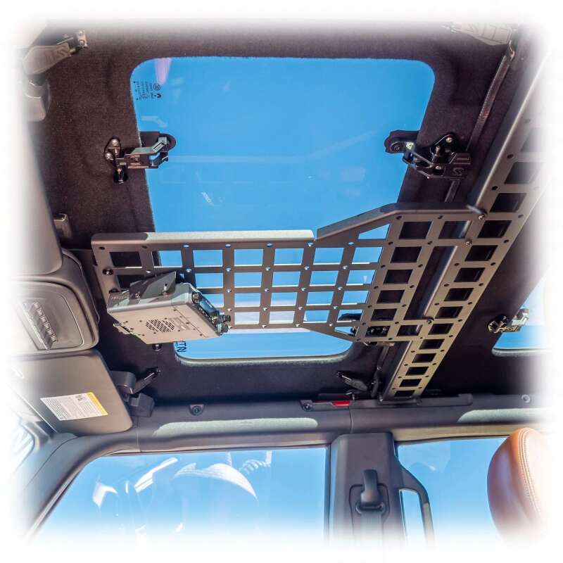 Photo - Close Up