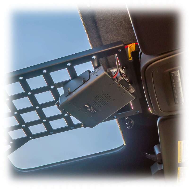 Photo - Close Up