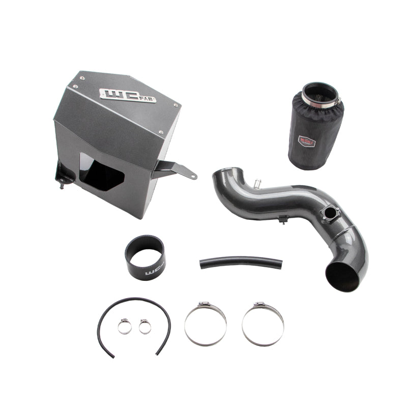 Wehrli 10-12 6.7L Cummins 4in. Intake Kit - Sparkle Copper