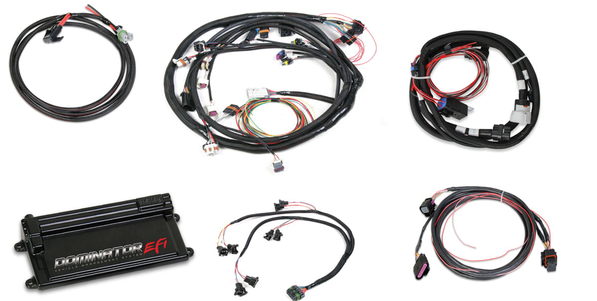 Holley Dominator EFI Kit - LS2 w/Trans Contr & DBW