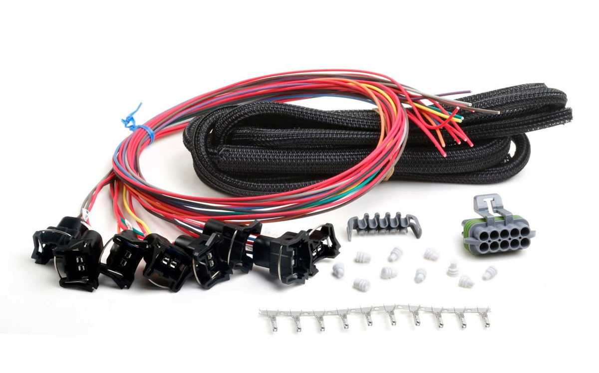 HLY558-204.jpg