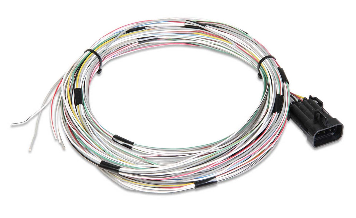 Holley J1A/B Input/Output Connector