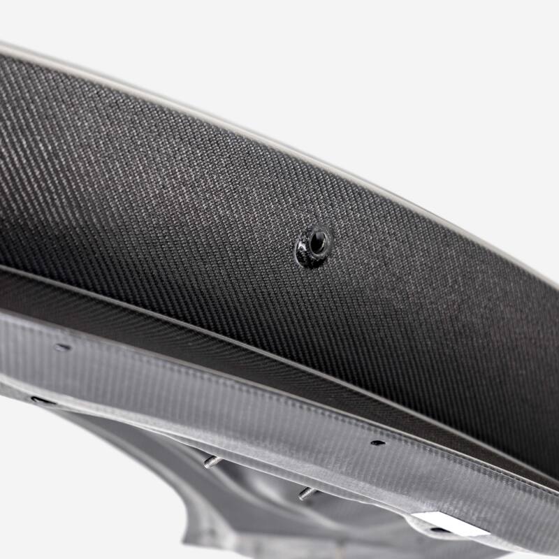Anderson Composites 2024 Ford Mustang Type-AO Double Sided Carbon Fiber 1-Piece Decklid