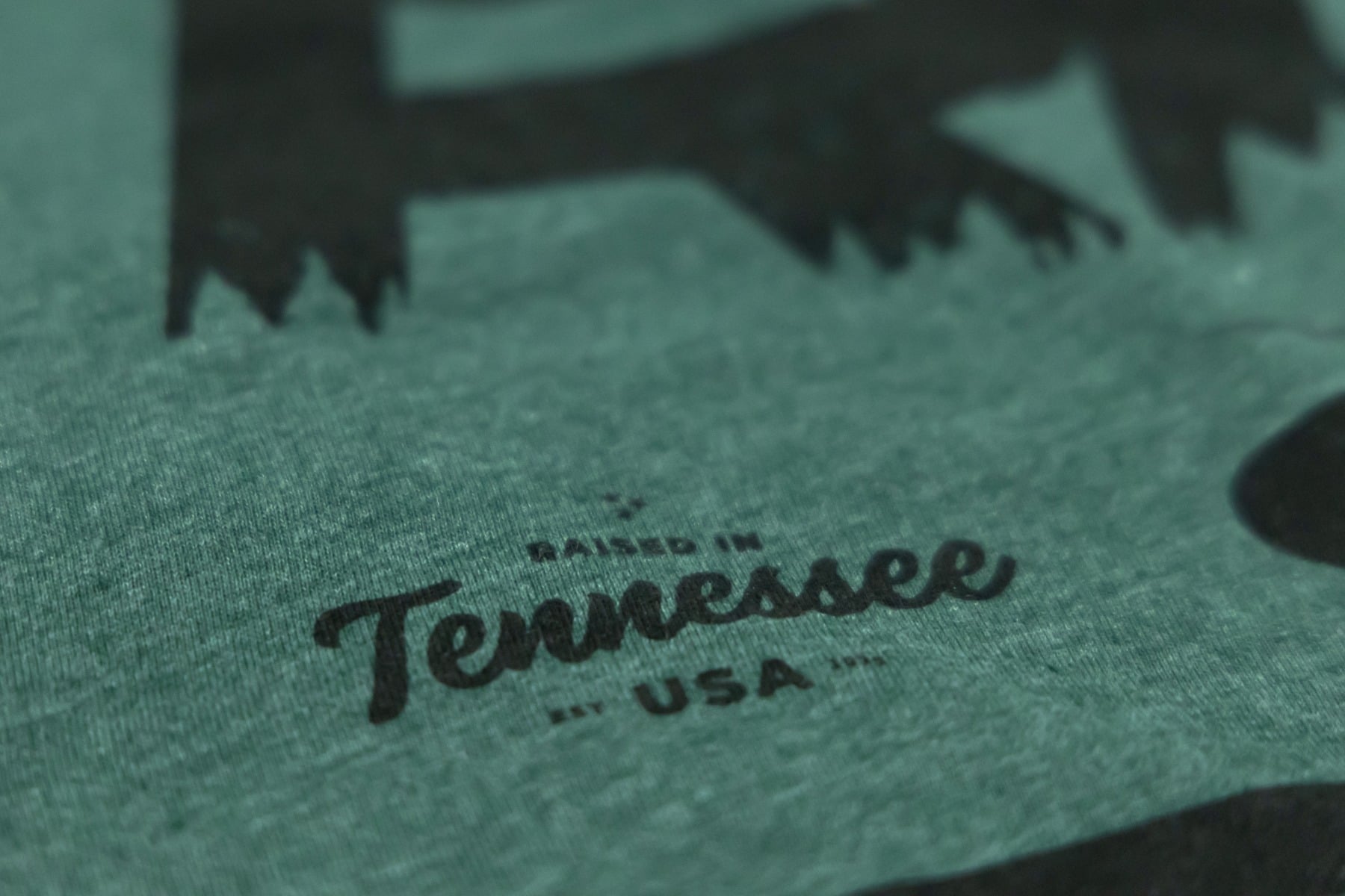 Rough Country T-Shirt | RC Mountains | Forest Green | SM