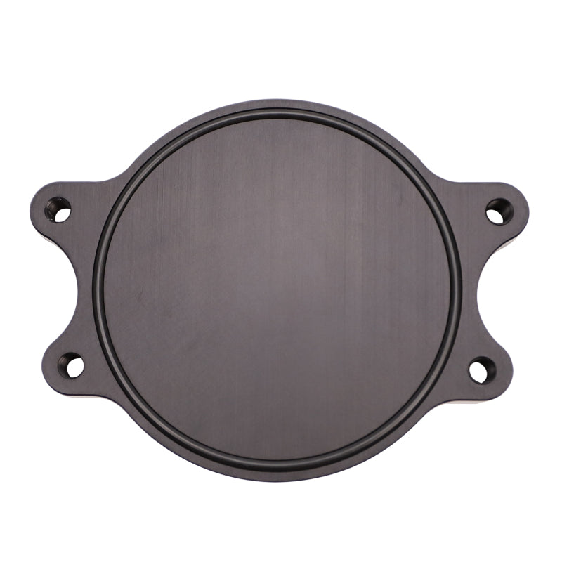 Wehrli 01-16 Chevrolet 6.6L Duramax Valley CP3 Block Off Plate