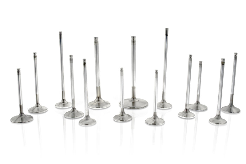 Ferrea Chevrolet SB 1.6in 5/16in 5.010in 14 Deg Flo +.100 Competition Plus Exhaust Valve - Set of 8