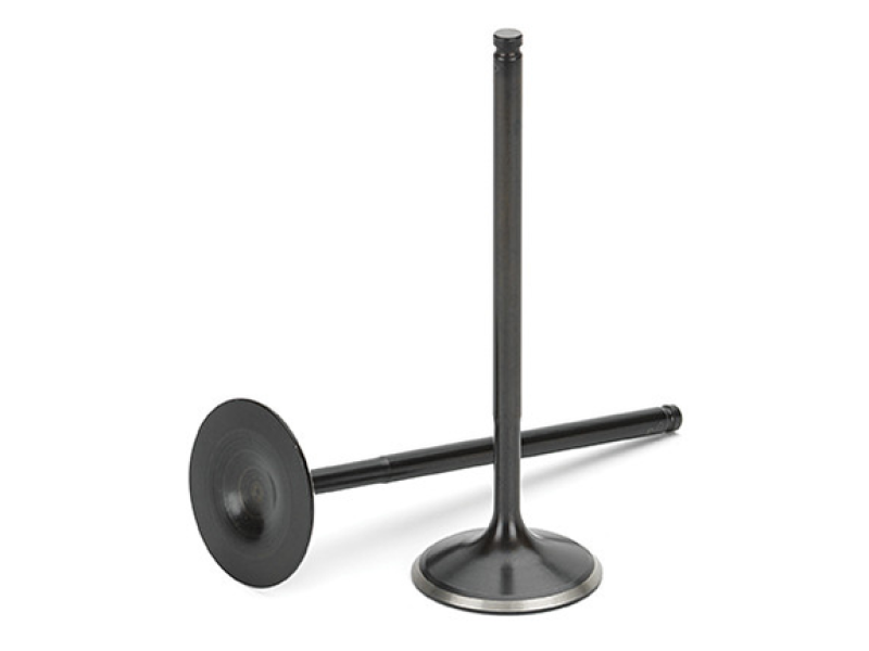 Supertech Honda D16Z6 Black Nitrided Exhaust Valve - +0.5mm Oversize - Set of 8-Supertech-797 Offroad