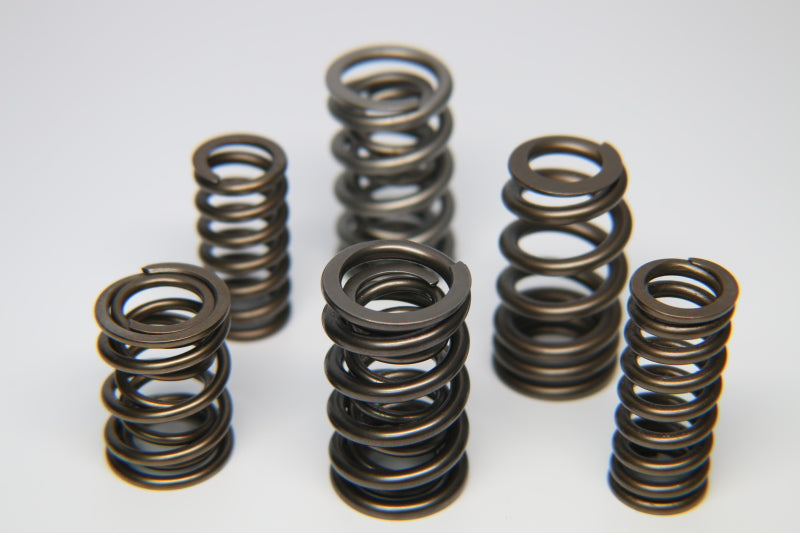 Ferrea BMW S54 Dual Valve Spring - Single