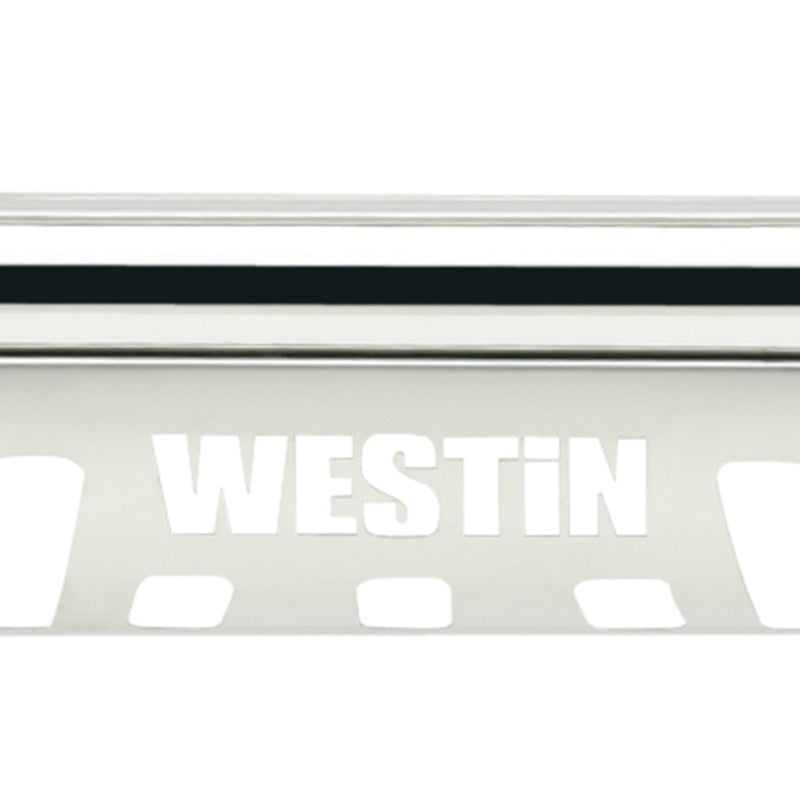 Westin 2009-2018 Dodge/Ram 1500 E-Series Bull Bar - SS