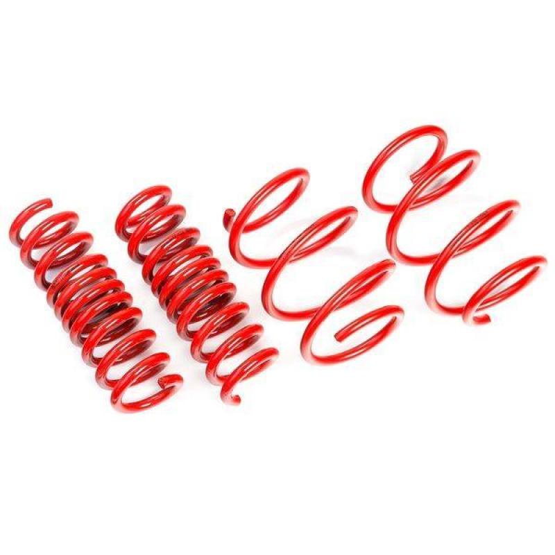 AST Suspension Tesla Model 3 Long Range AWD Lowering Springs - 30mm